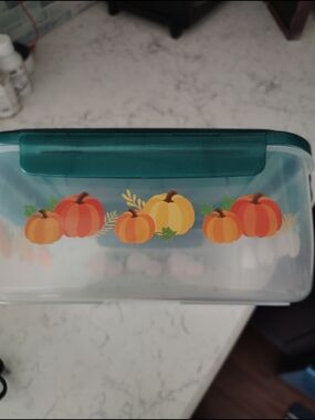 Lock N Lock Food Storage 3.9 QT Container- Teal Lid
